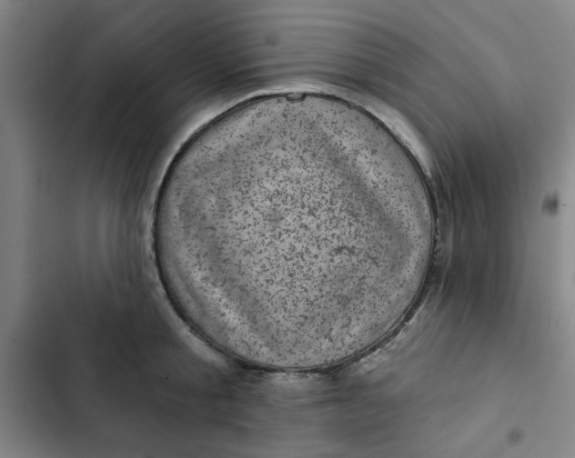 X0000102460805200808221618