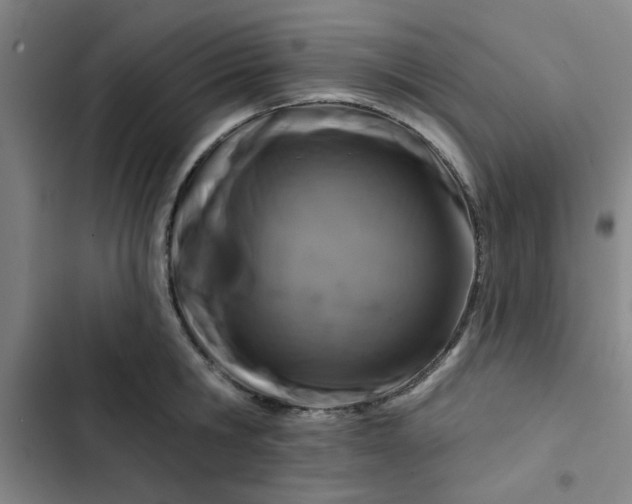 X0000102460806200808221618