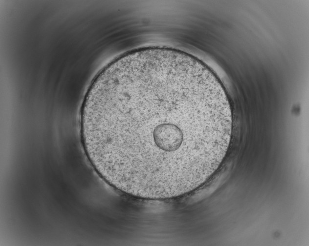 X0000102460807200808221618