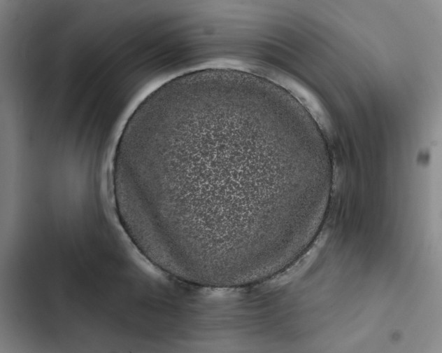 X0000102460808200808221618