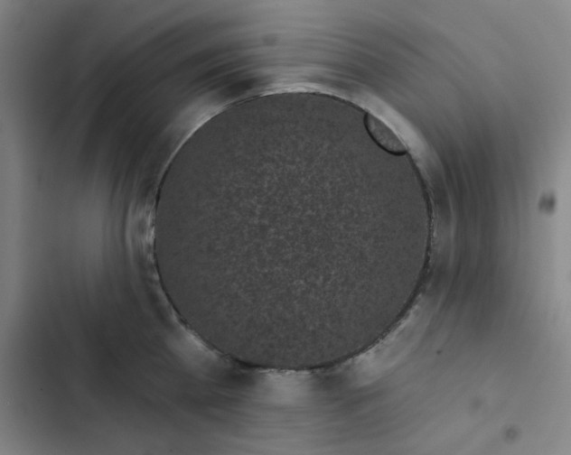 X0000102460809200808221618