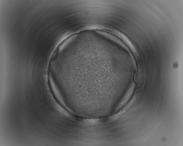 X0000102460810200808221618