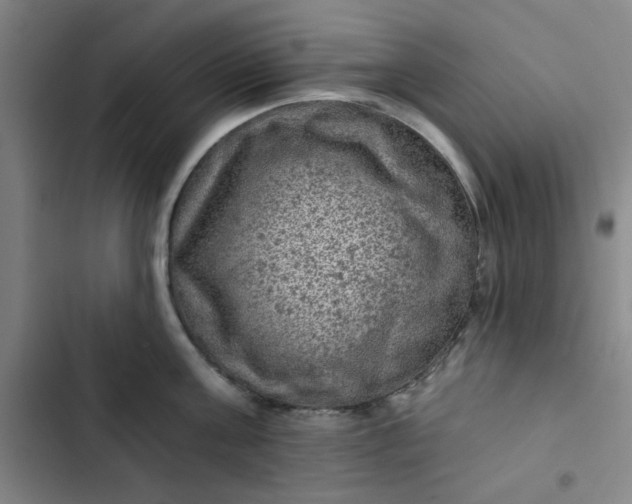 X0000102460811200808221618