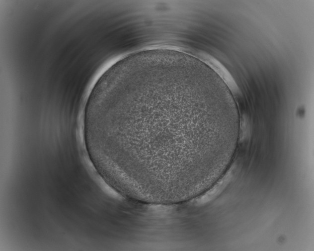 X0000102460812200808221617