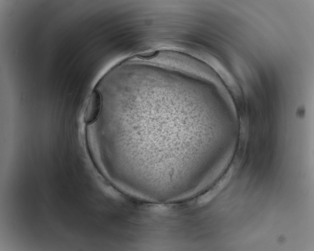 X0000102460814200808221617