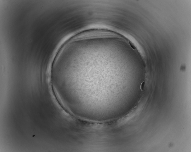 X0000102460815200808221617