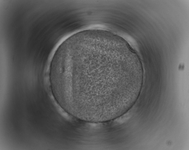 X0000102460816200808221617