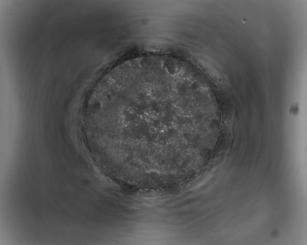 X0000102460817200808221617