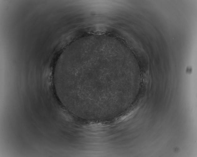 X0000102460818200808221617