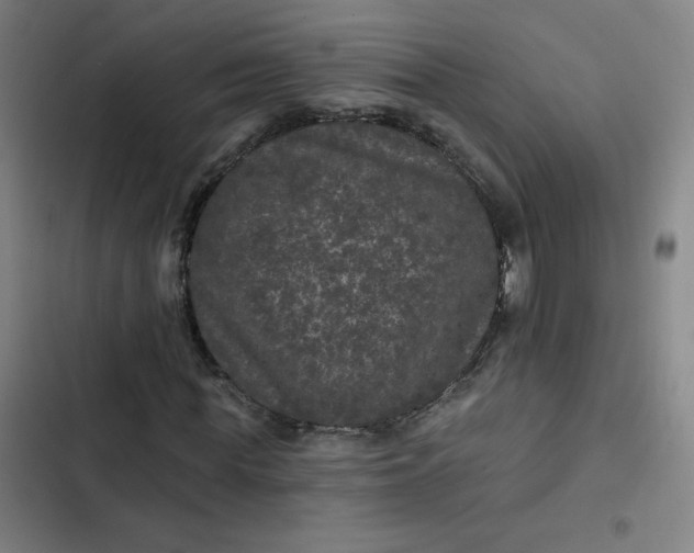 X0000102460819200808221617