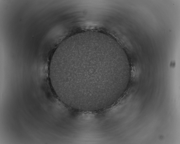 X0000102460820200808221617