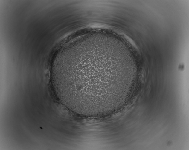 X0000102460821200808221617