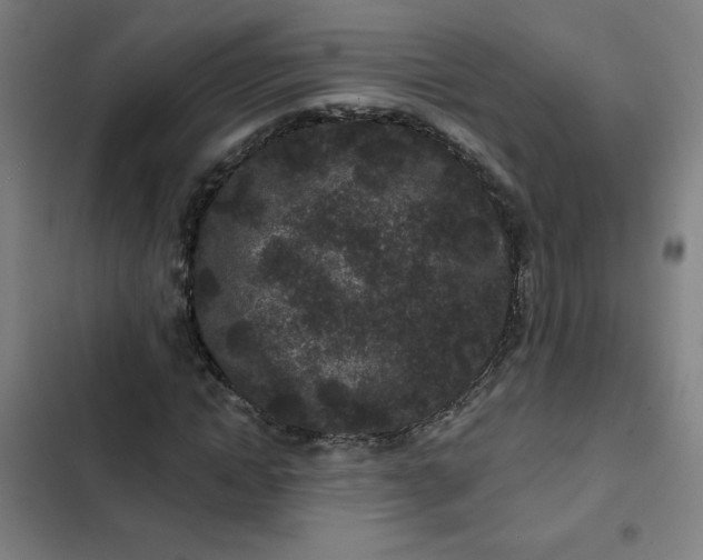 X0000102460822200808221617