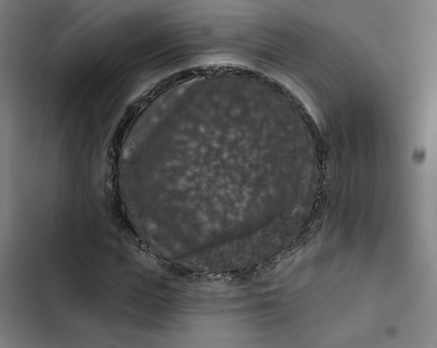 X0000102460823200808221617