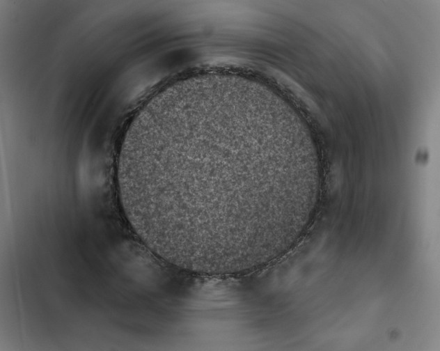 X0000102460824200808221617