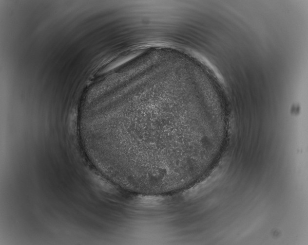 X0000102460825200808221617