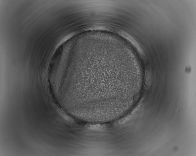 X0000102460826200808221617