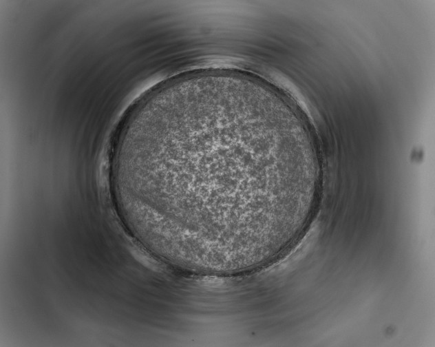 X0000102460827200808221617