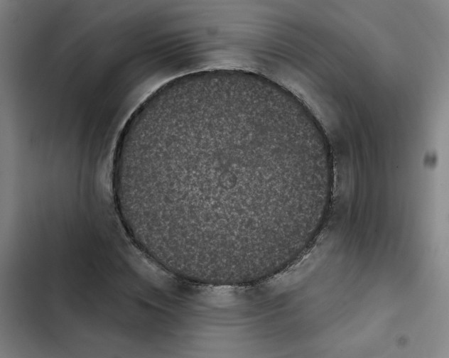 X0000102460828200808221617