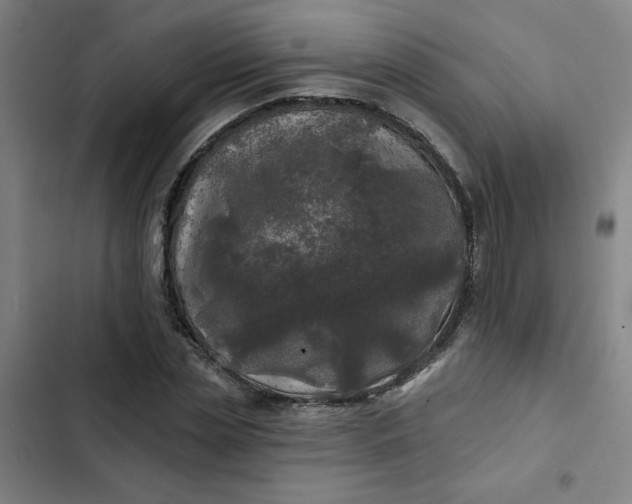 X0000102460829200808221617