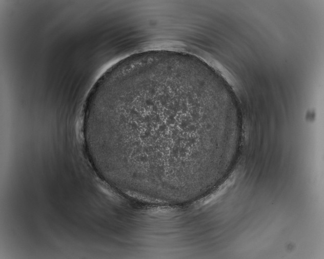 X0000102460830200808221617