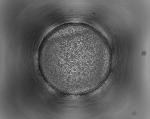 X0000102460831200808221617