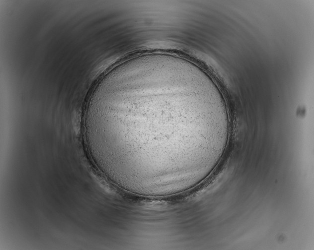 X0000102460833200808221617