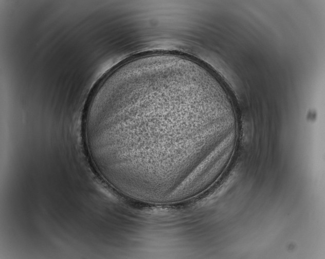 X0000102460834200808221617