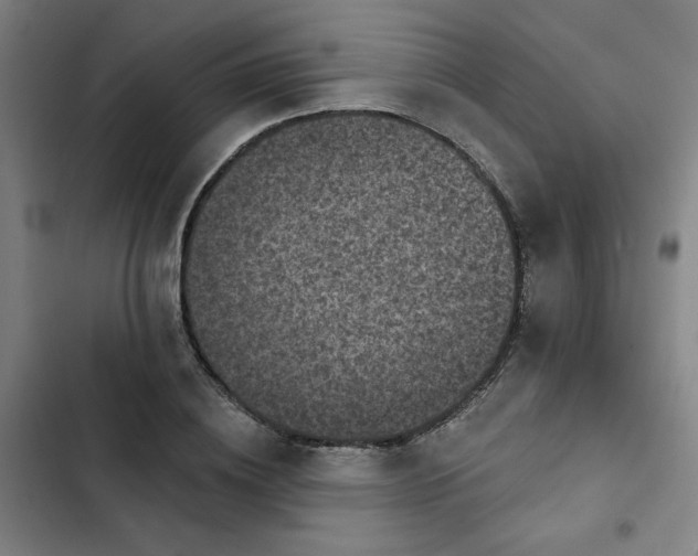 X0000102460836200808221617