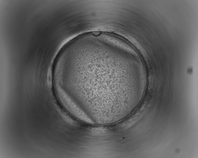 X0000102460838200808221617