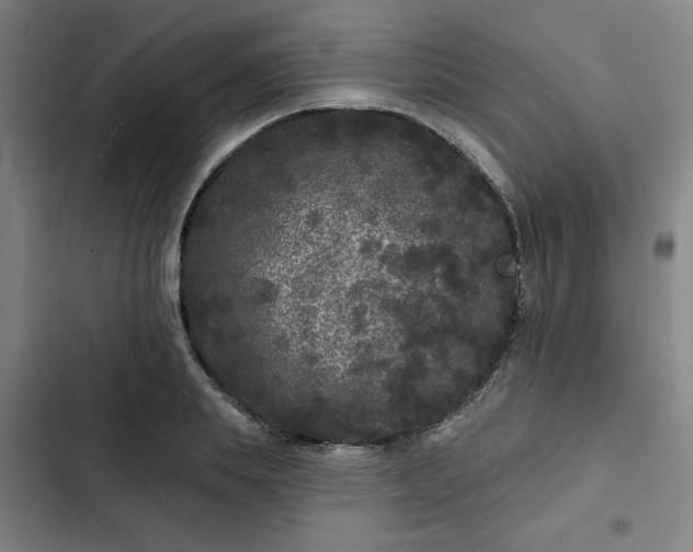 X0000102460839200808221617