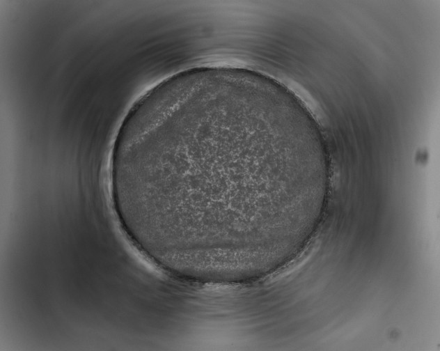 X0000102460840200808221617