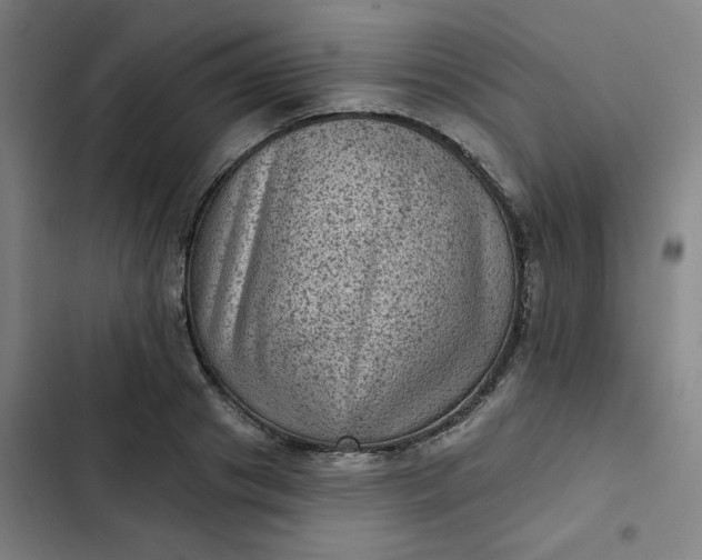 X0000102460841200808221617