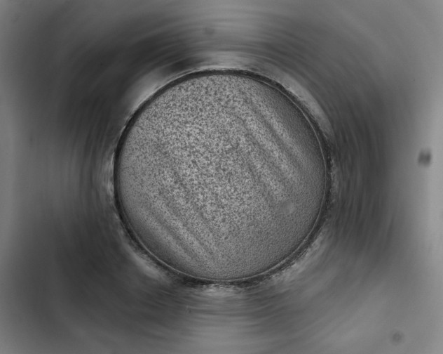 X0000102460842200808221617