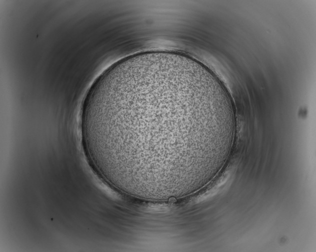 X0000102460843200808221617