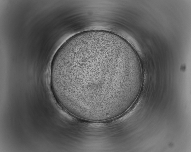 X0000102460844200808221617