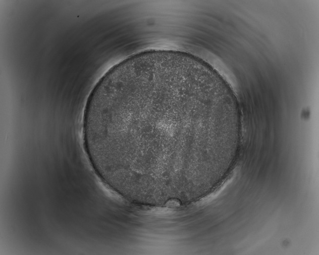 X0000102460845200808221617