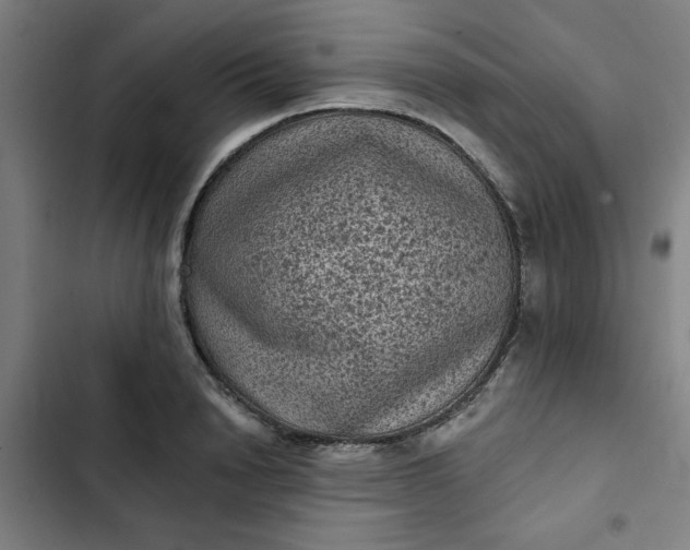 X0000102460846200808221617