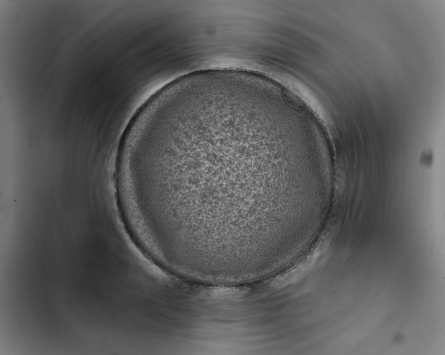 X0000102460847200808221617