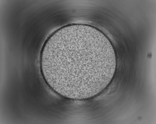 X0000102460848200808221617