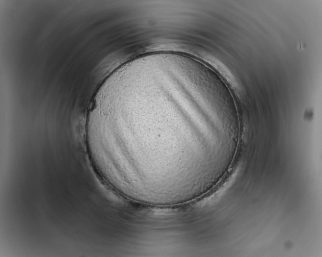 X0000102460849200808221617