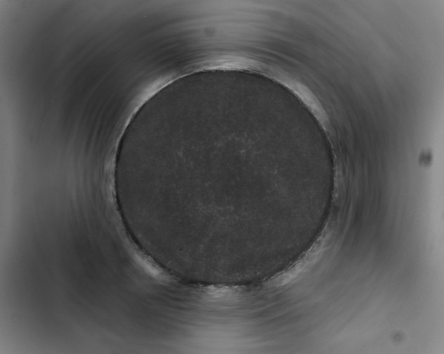 X0000102460850200808221617