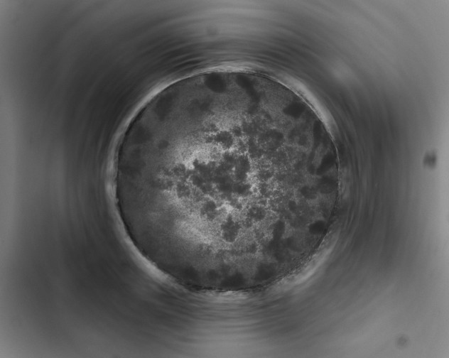 X0000102460851200808221617