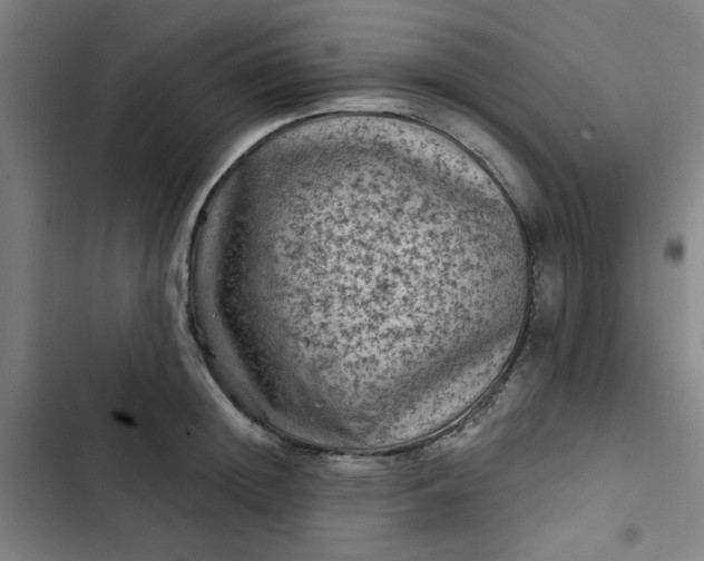 X0000102460852200808221617