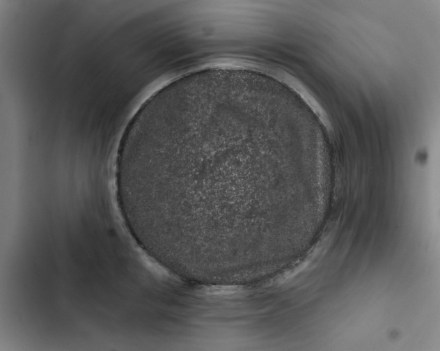 X0000102460853200808221617