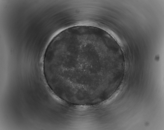 X0000102460854200808221617