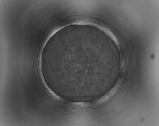 X0000102460855200808221617