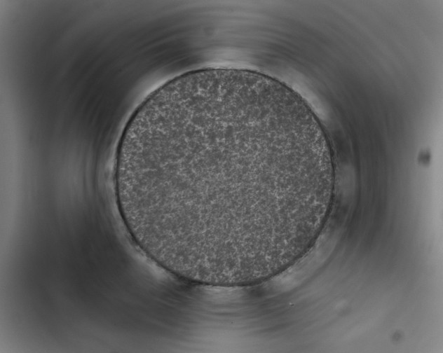 X0000102460856200808221617