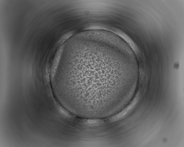 X0000102460857200808221617