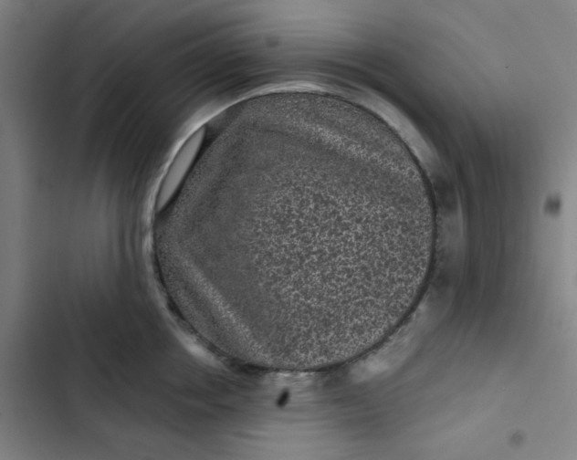 X0000102460858200808221617